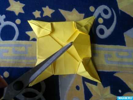 Master-clasa în tehnica de origami pentru adulți 