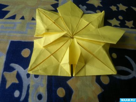 Master-clasa în tehnica de origami pentru adulți 