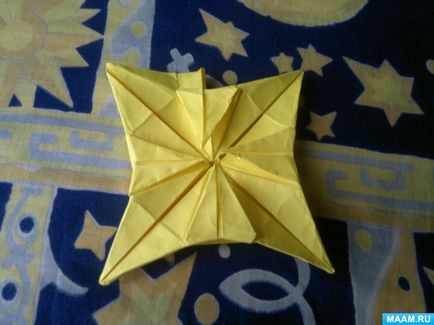 Master-clasa în tehnica de origami pentru adulți 