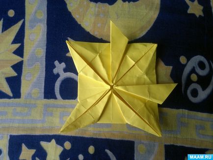 Master-clasa în tehnica de origami pentru adulți 