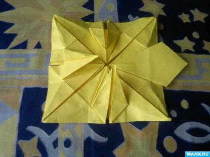 Master-clasa în tehnica de origami pentru adulți 