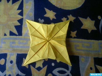 Master-clasa în tehnica de origami pentru adulți 