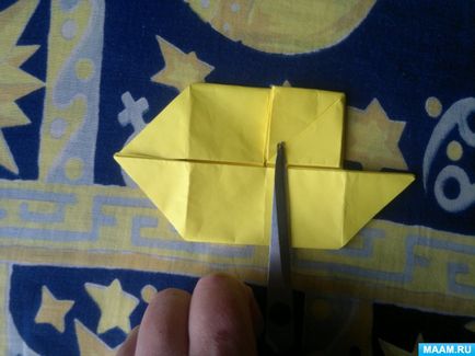 Master-clasa în tehnica de origami pentru adulți 