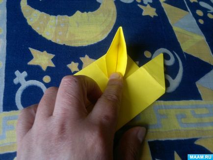 Master-clasa în tehnica de origami pentru adulți 