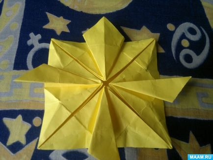 Master-clasa în tehnica de origami pentru adulți 