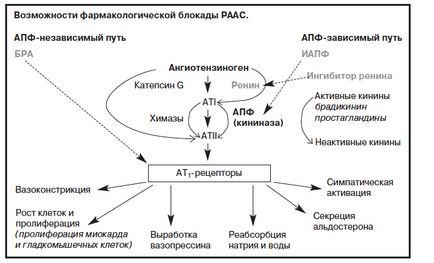 Місце сартанів в лікуванні артеріальної гіпертензії