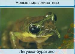 Методи в Biology