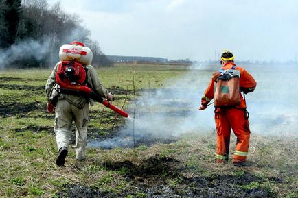 Мокрими штанами по - лісової пожежі, телеграф, навколо світу