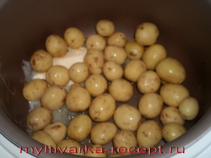 Cartofi tineri prăjiți într-o rețetă multivariată, pregătită într-un multivariat