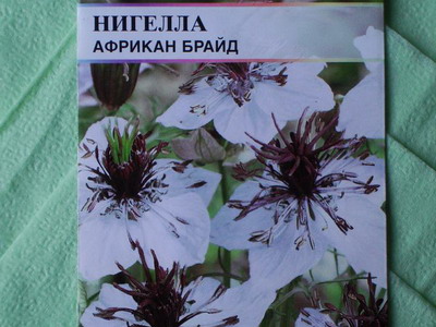 Нігелла фото квітів, їх вирощування і застосування - енциклопедія квітів