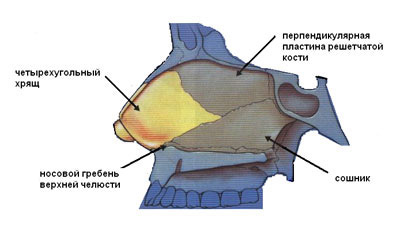 Septul nazal, curbura septului, alinierea cu laserul, chirurgul plastic, Kharkov, Kiev