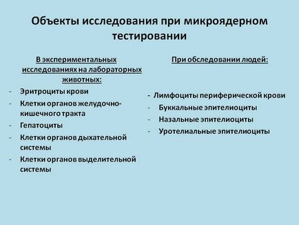 Об'єкти дослідження при мікроядерний тестуванні - презентація 169196-9