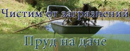 Очистити ставок від твані і зелені - легка справа