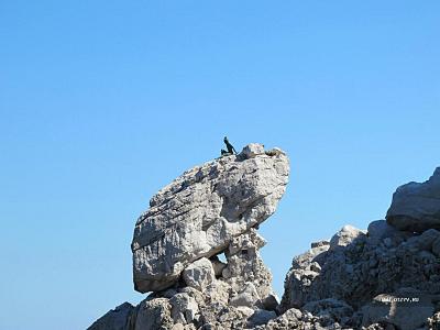 Într-o zi în Capri