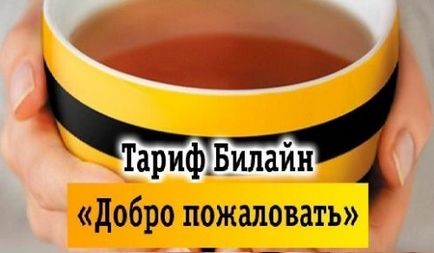 Опис тарифу ласкаво просимо від билайн як перейти, опції, відгуки