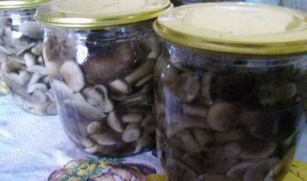 Gombák a telet a bankok nélkül ecet receptek gomba üres otthoni