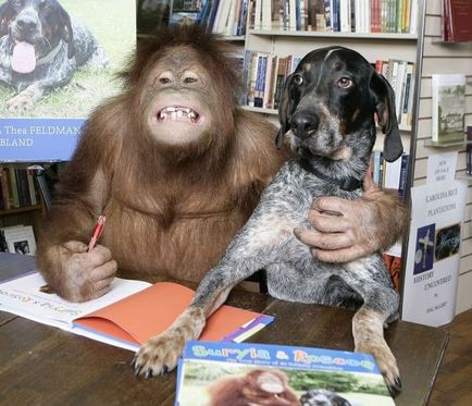 Orangutanul și câinele sau povestea unei prietenii
