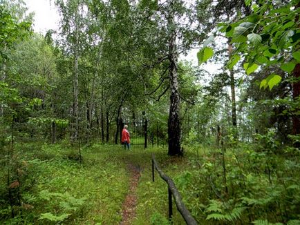 De la sanatoriu 