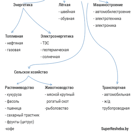 Відповіді, тема 8 північна америка