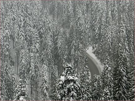 Pamporovo Bulgária a térképen, hogyan lehet eljutni Pamporovo (Bulgária) Pamporovo Bulgária a térképen, hogyan lehet eljutni Pamporovo