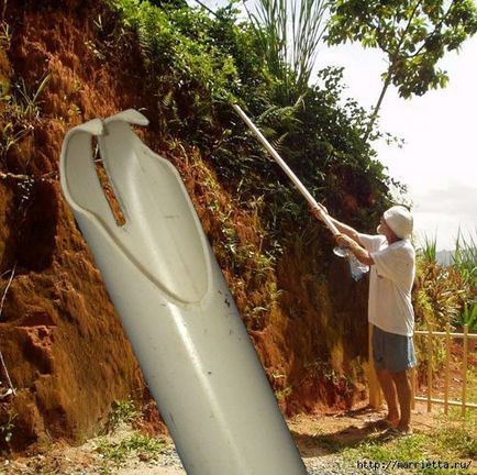 Colector de fructe pentru fructe de pădure