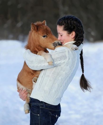 Пост любові до коней