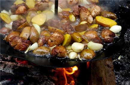 Tabăra de camping cu incredibil de delicios