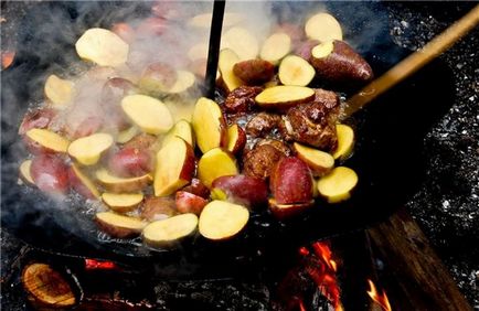 Tabăra de camping cu incredibil de delicios