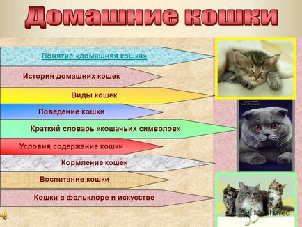 Представяне на концепцията - домашна котка - историята на вътрешните Котки Котки Котки видове поведение