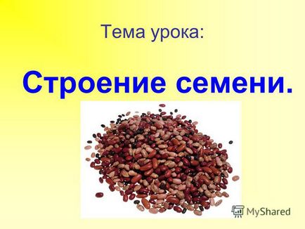 Презентація на тему перевірка домашнього завдання вірно твердження до допомагає рослині залишити