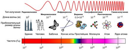 Природа електромагнітного поля