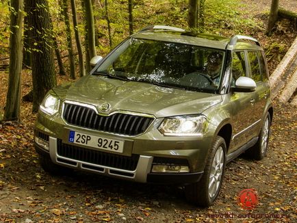 Програма сімейний автомобіль 2017 як працює умова програми на г