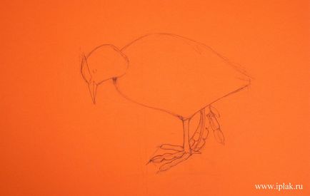 Пташка, пастель, малюємо поетапно - блог - блог художника Плаксін Ірини