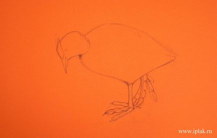 Bird, pasztell, festék szakaszokban - a blog - a blog a művész Plaksin Irina (állomásain) Bird, pasztell, festék szakaszokban - a blog - a blog a művész Irene Plaksina