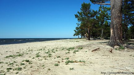 Călătorie spre Buryatia cu locurile sacre ale mașinilor, izvoarele calde, plajele de nisip din Baikal!