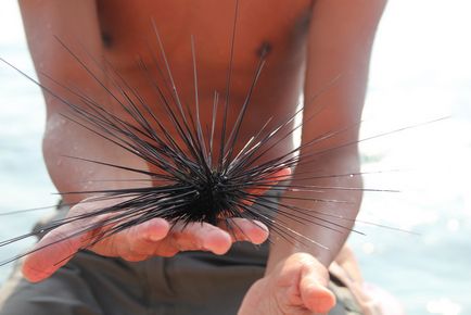 Ghid pentru Ao Nang, Krabi în Thailanda fotografie de bonus de la paradis