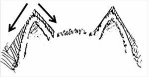 Grija periodică - Spitzul japonez Siberia