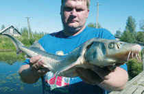 Pescuitul pe teritoriul Altai este gratuit