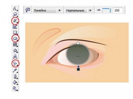 Desenați ochiul în desenul corel