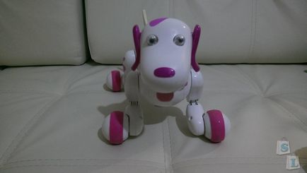 Rose, intelligens robot kilincsmű (smart kutya)