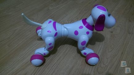 Rose, robot de câine inteligent (câine inteligent)