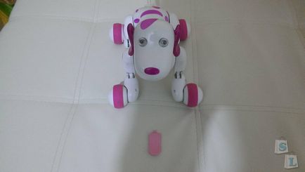 Rose, robot de câine inteligent (câine inteligent)