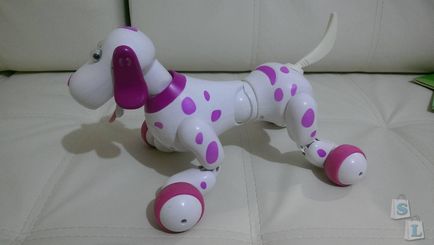 Rose, intelligens robot kilincsmű (smart kutya)