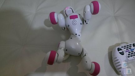 Rose, intelligens robot kilincsmű (smart kutya)