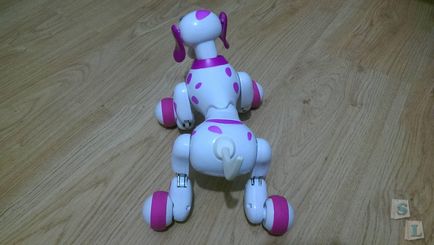 Роза, розумна собачка-робот (smart dog)
