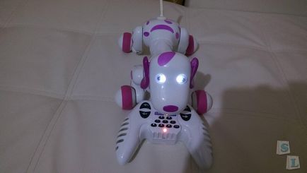 Rose, intelligens robot kilincsmű (smart kutya)