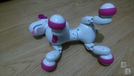 Роза, розумна собачка-робот (smart dog)