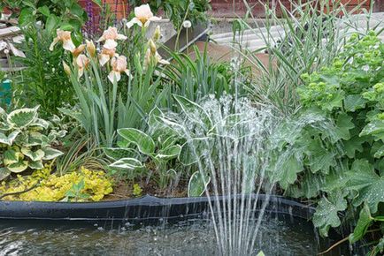 Садові фонтани пристрій, різновиди, фото