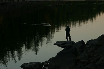 Cel mai pescuit pescăruș () Cea mai mare pescuit siberian