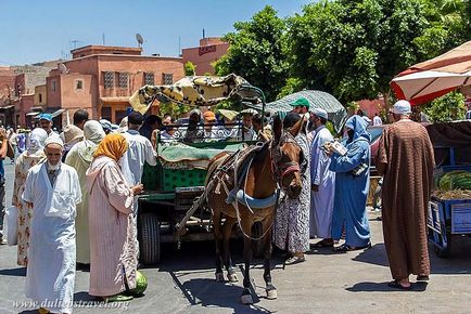 Самостійне подорож по марокко